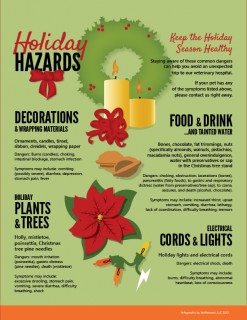 Holiday Hazards - click to enlarge