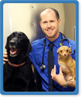 Contact Mandarin Animal Hospital in Jacksonville
