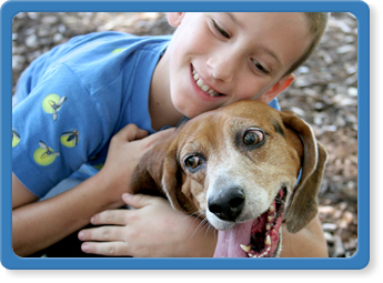 pet microchipping