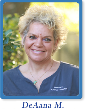 pet grooming jacksonville