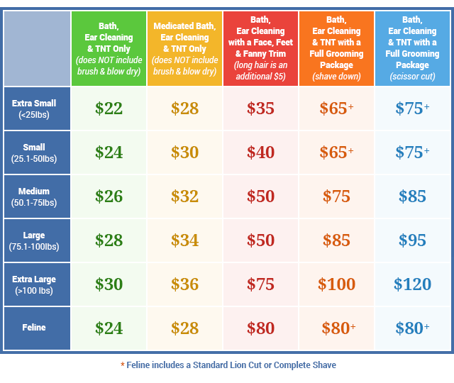 Mandarin Animal Hospital Jacksonville Veterinary Care FL