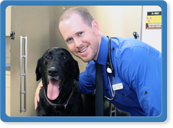 South Jacksonville FL veterinarians