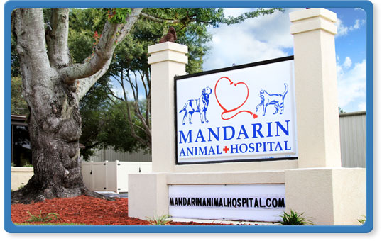 South Jacksonville Veterinary Location | Veterinarians in South Jacksonville